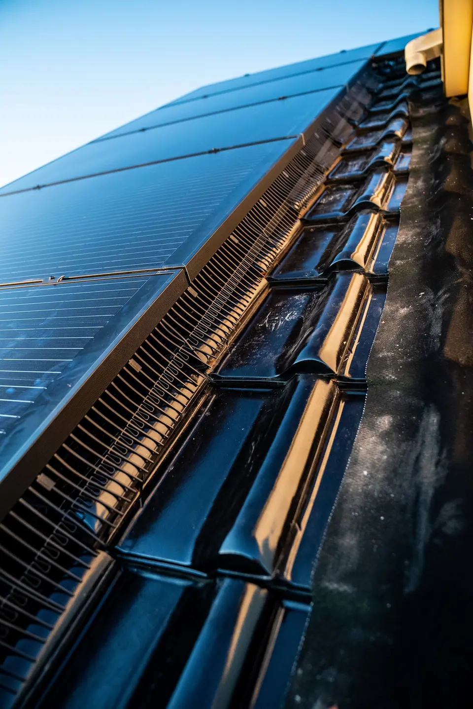 Vogelwering zonnepanelen voor bedrijven en landbouw