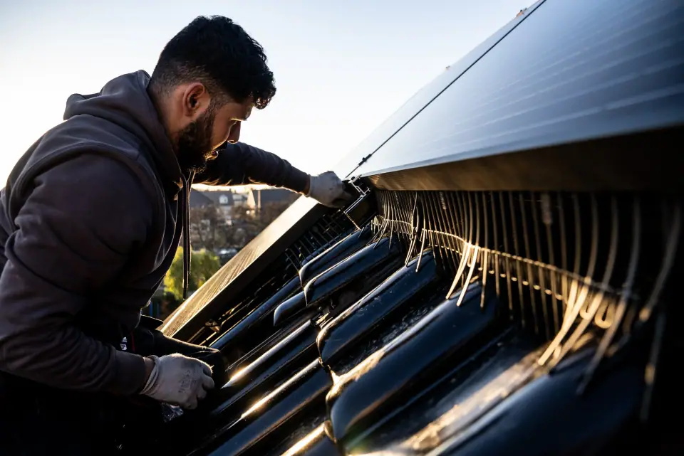 Plaatsing van vogelwering onder zonnepanelen bij zonsondergang