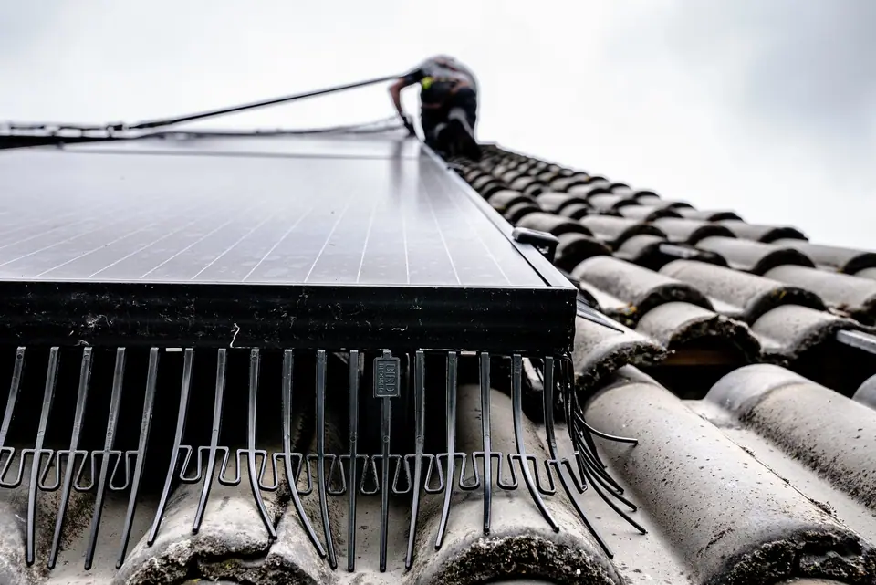 Afgewerkte vogelwering onder zonnepanelen door Solfence