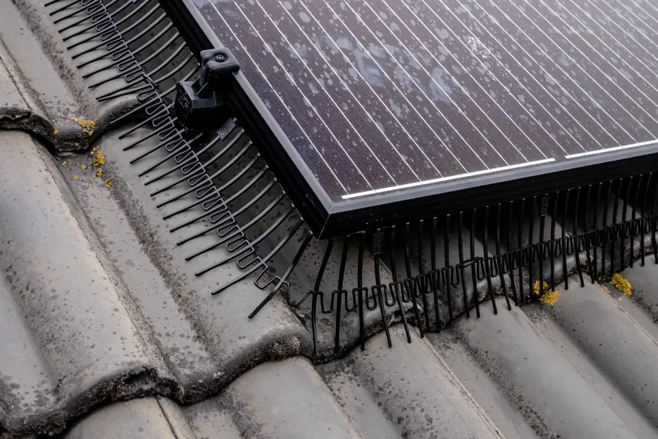 Afgewerkte vogelwering onder zonnepanelen door Solfence