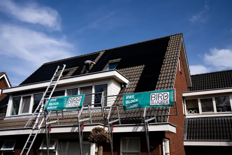 Woning met steiger tijdens de plaatsing van vogelwering rond de zonnepanelen