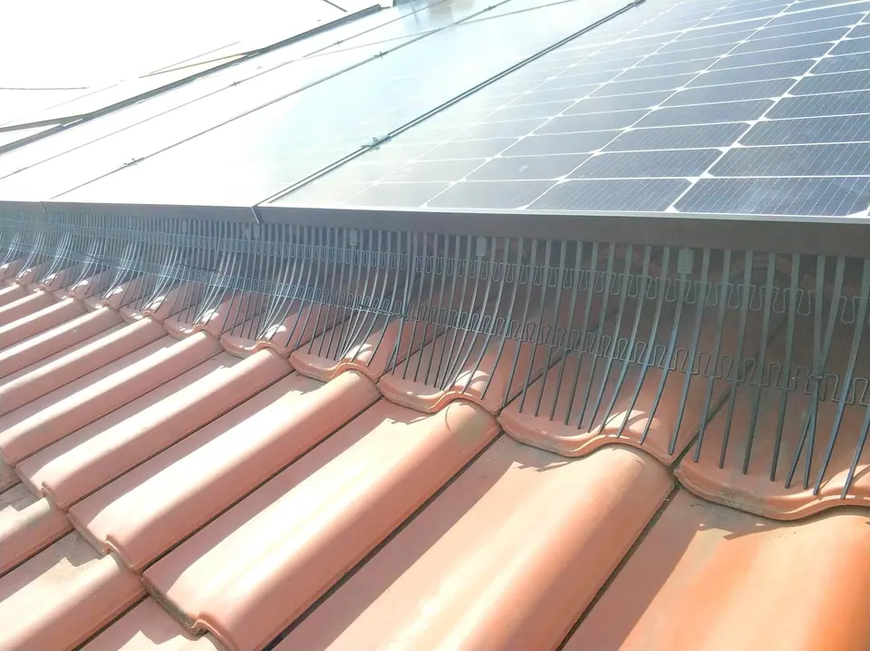 Zonnepanelen op rode pannen met een strakke afsluiting tegen vogels