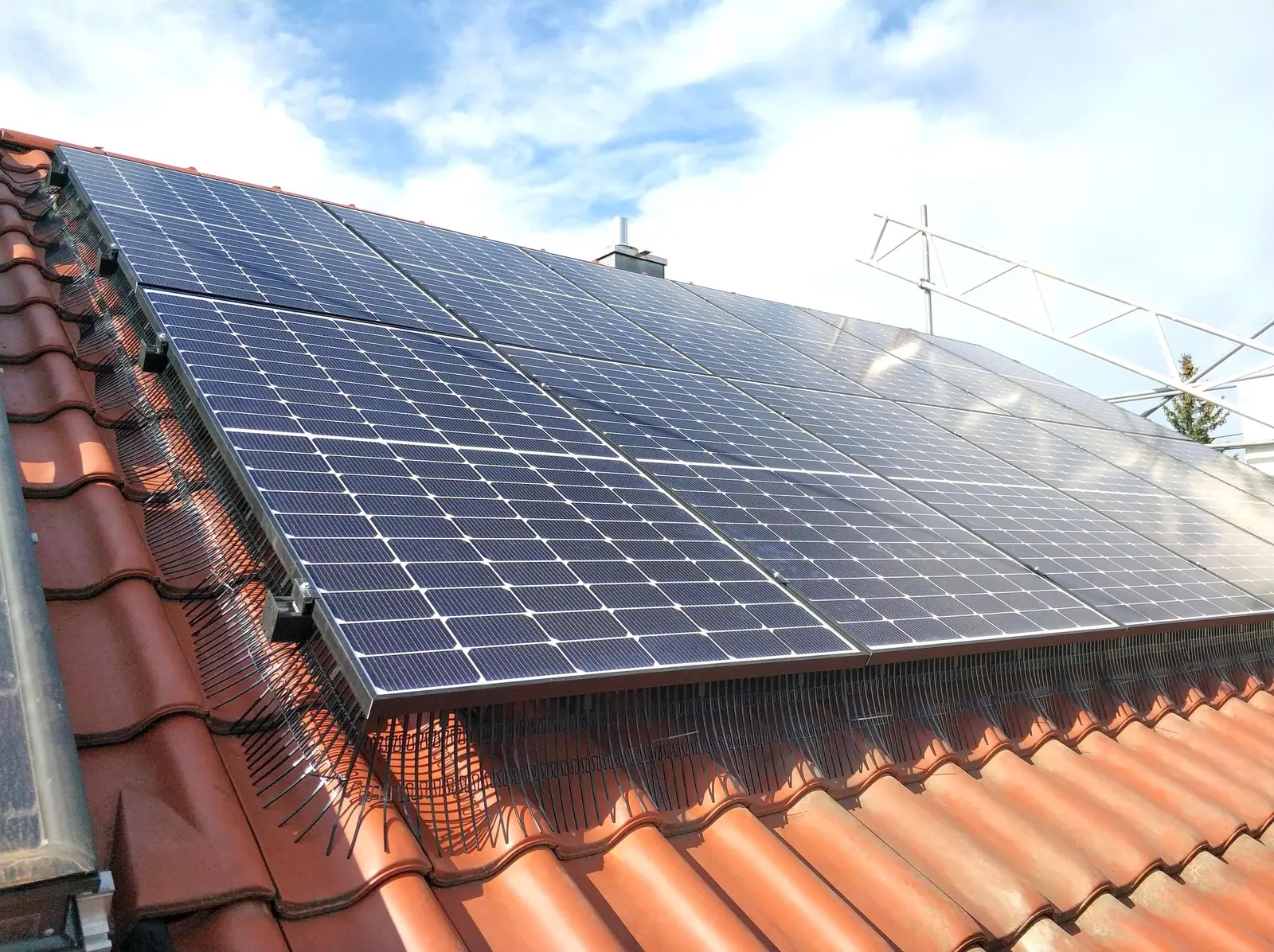 Vogelwering zonnepanelen Lier: BirdBlocker rondom de panelen op een dak in Antwerpen