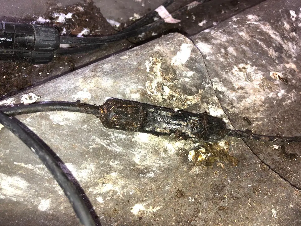 Vogelpoep en vuil op kabels en een connector onder zonnepanelen
