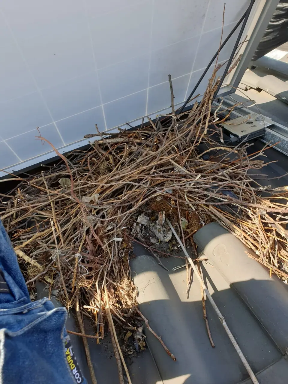 Nesten verwijderen onder zonnepanelen