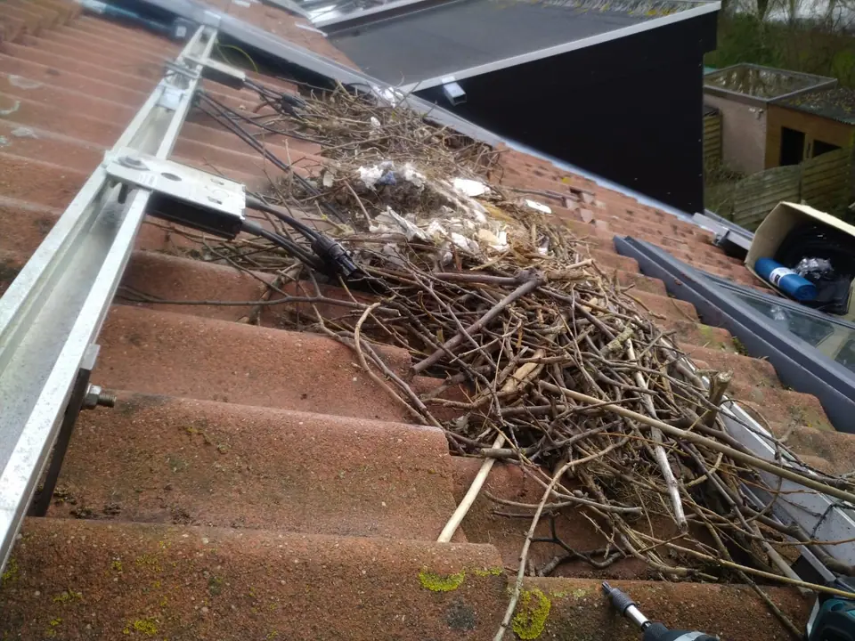 Nestmateriaal onder zonnepanelen voor de reiniging