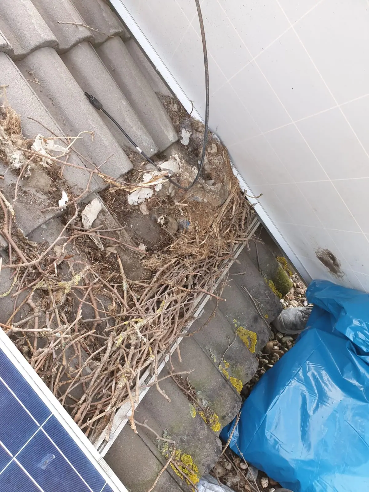 Verlaten nestmateriaal onder zonnepanelen
