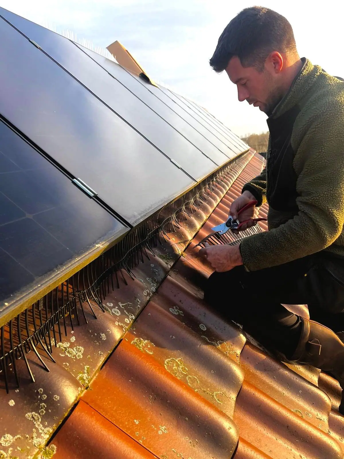 Vakman van Solfence aan het werk op een pannendak met zonnepanelen